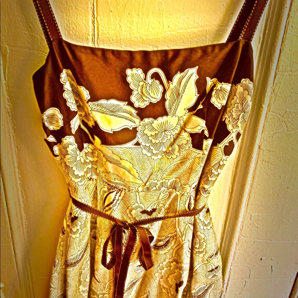 Ann Taylor Brown & White Ribbon Accent & tie Floral Dress. Size 4.